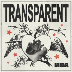 TRANSPARENT