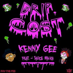 Drip Cost