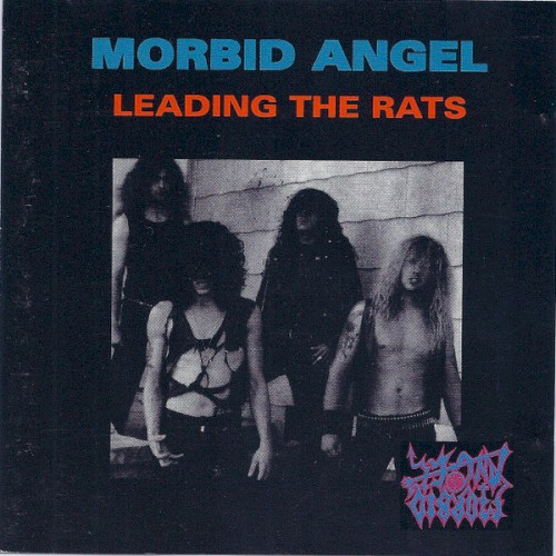 Leading the Rats