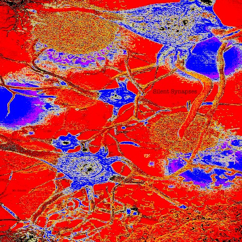 Silent Synapses