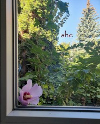 she