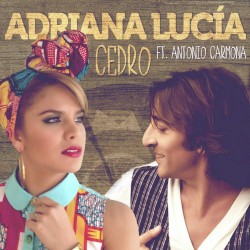 Cedro