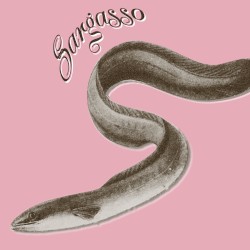 Sargasso