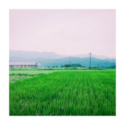 sasayaki / Freai 01