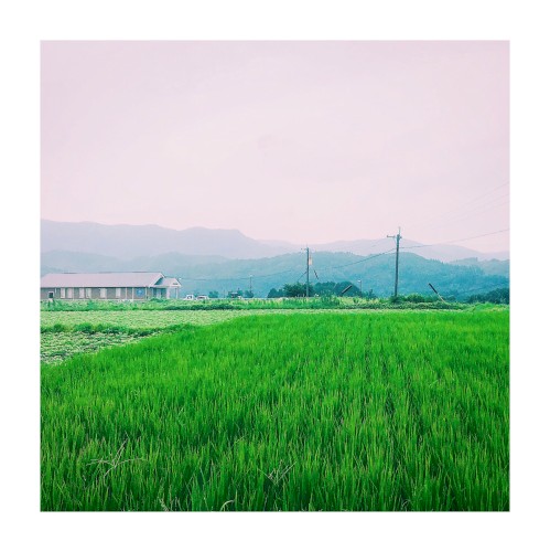 sasayaki / Freai 01