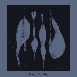 Lost at Sea