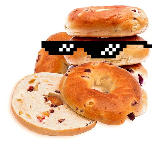 cranberry orange bagel #3