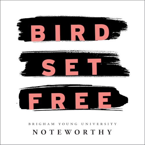 Bird Set Free