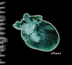 (Flux)
