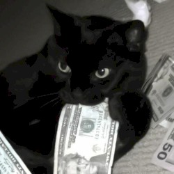 Bad Guy
