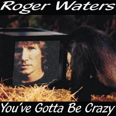 1999‐08‐17: You’ve Gotta Be Crazy