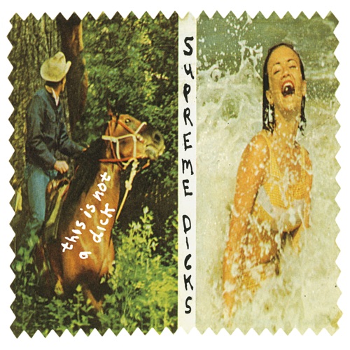 This Is Not A Dick & Rarities