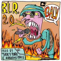 B.i.r. 2.0