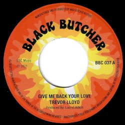 Give Me Back Your Love / Hold Me