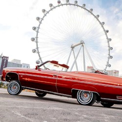 Drop Top