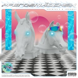 Pferdemädchen