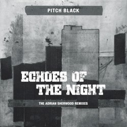 Echoes of the Night (The Adrian Sherwood Remixes)