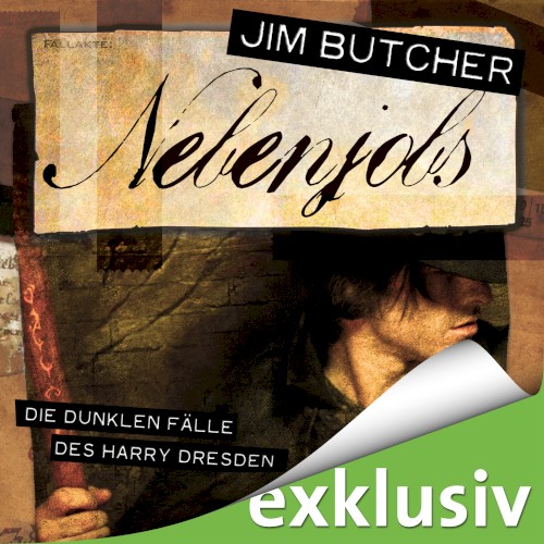 Die dunklen Fälle des Harry Dresden: Nebenjobs