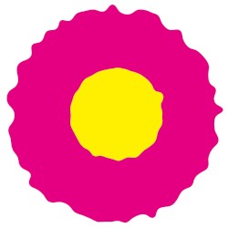 sasanqua