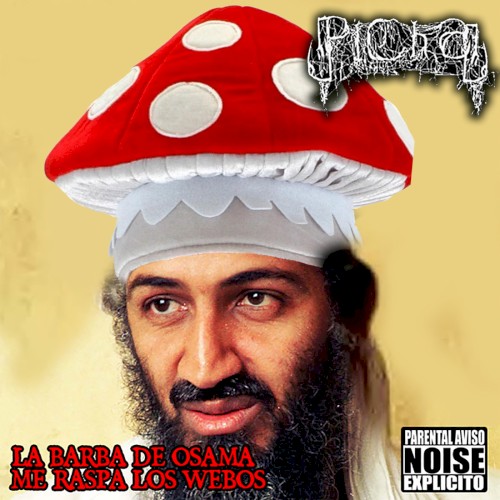 La barba de osama me raspa los webos