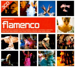 Beginner's Guide to Flamenco