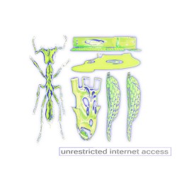 UNRESTRICTED INTERNET ACCESS