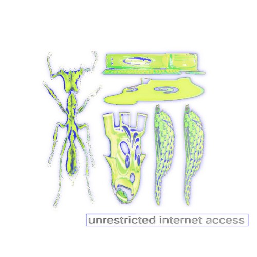 UNRESTRICTED INTERNET ACCESS