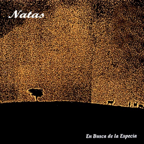 En busca de la especia