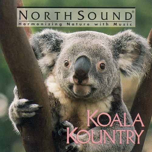 Koala Kountry