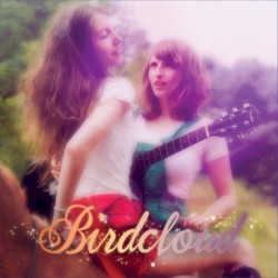 Birdcloud