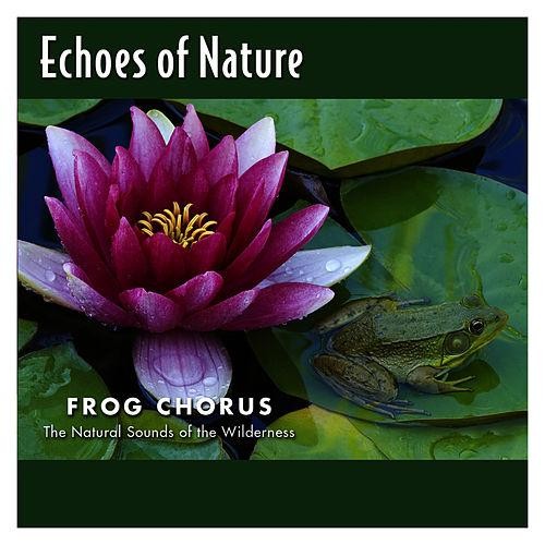 Echoes of Nature: Frog Chorus