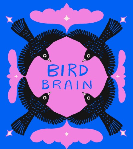 Bird Brain