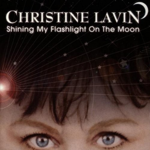 Shining My Flashlight on the Moon