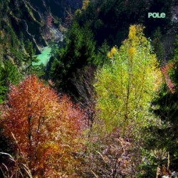 Wald