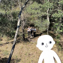 Where's Randy?