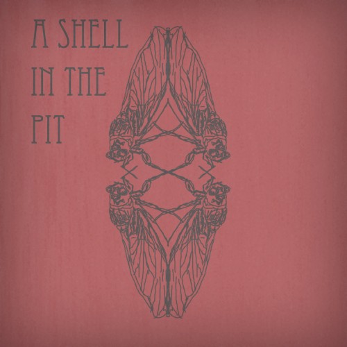 A Shell in the Pit