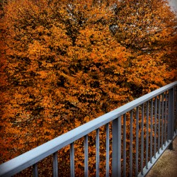 Boothferry