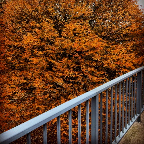 Boothferry