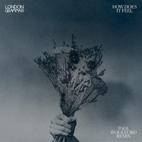 How Does It Feel (Paul Woolford remix)