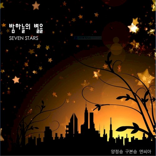 밤하늘의 별을 7