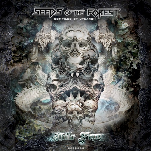 Seeds of the Forest