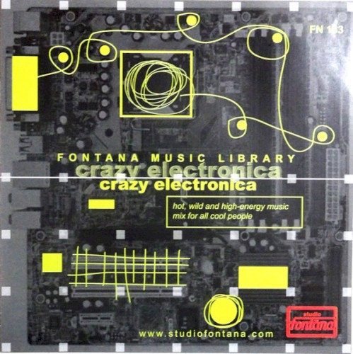 Crazy Electronica