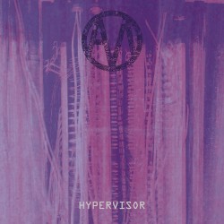 Hypervisor