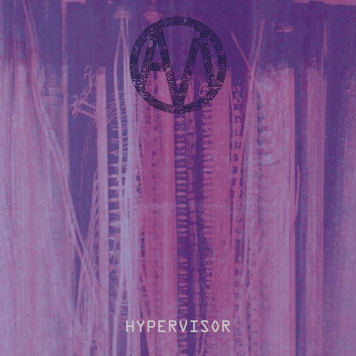 Hypervisor