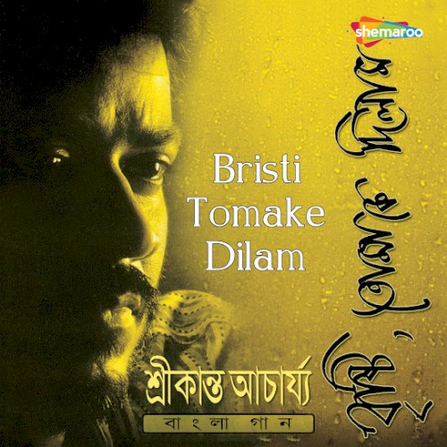 Bristi Tomake Dilam