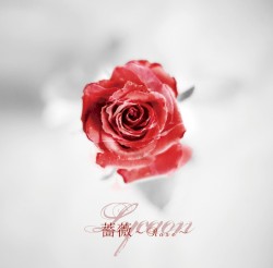 薔薇～Rose～