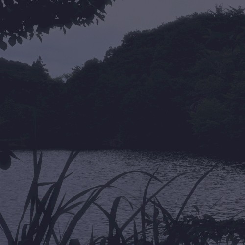 Forest Slumber