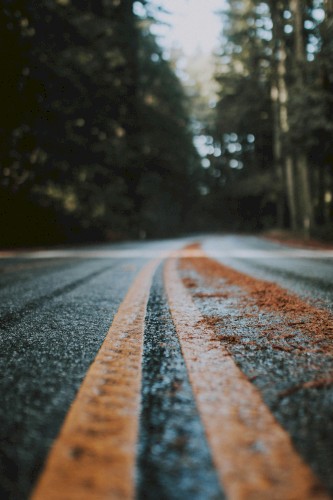 Road of Loneliness