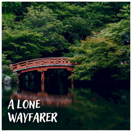 A Lone Wayfarer