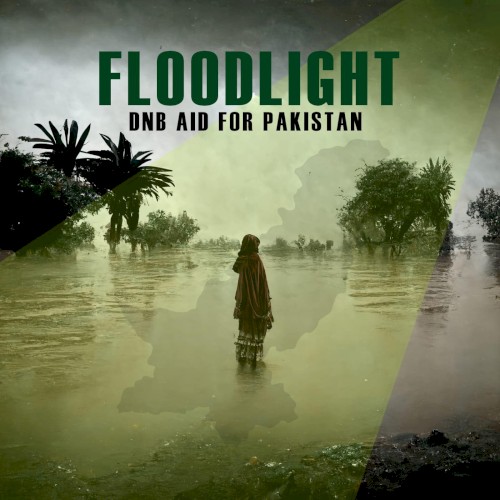 FLOODLIGHT: DNB AID FOR PAKISTAN